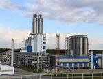 Полиом