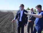 посевная Бурков