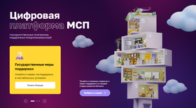 TSifrovaya platforma MSP