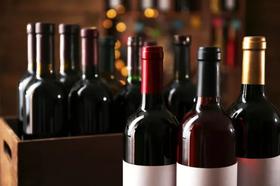 wine 2024.11.25